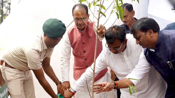 मुख्यमंत्री श्री चौहान ने लगाया मौलश्री का पौधा